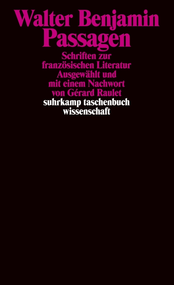 Cover: 9783518294390 | Passagen | Schriften zur französischen Literatur | Walter Benjamin