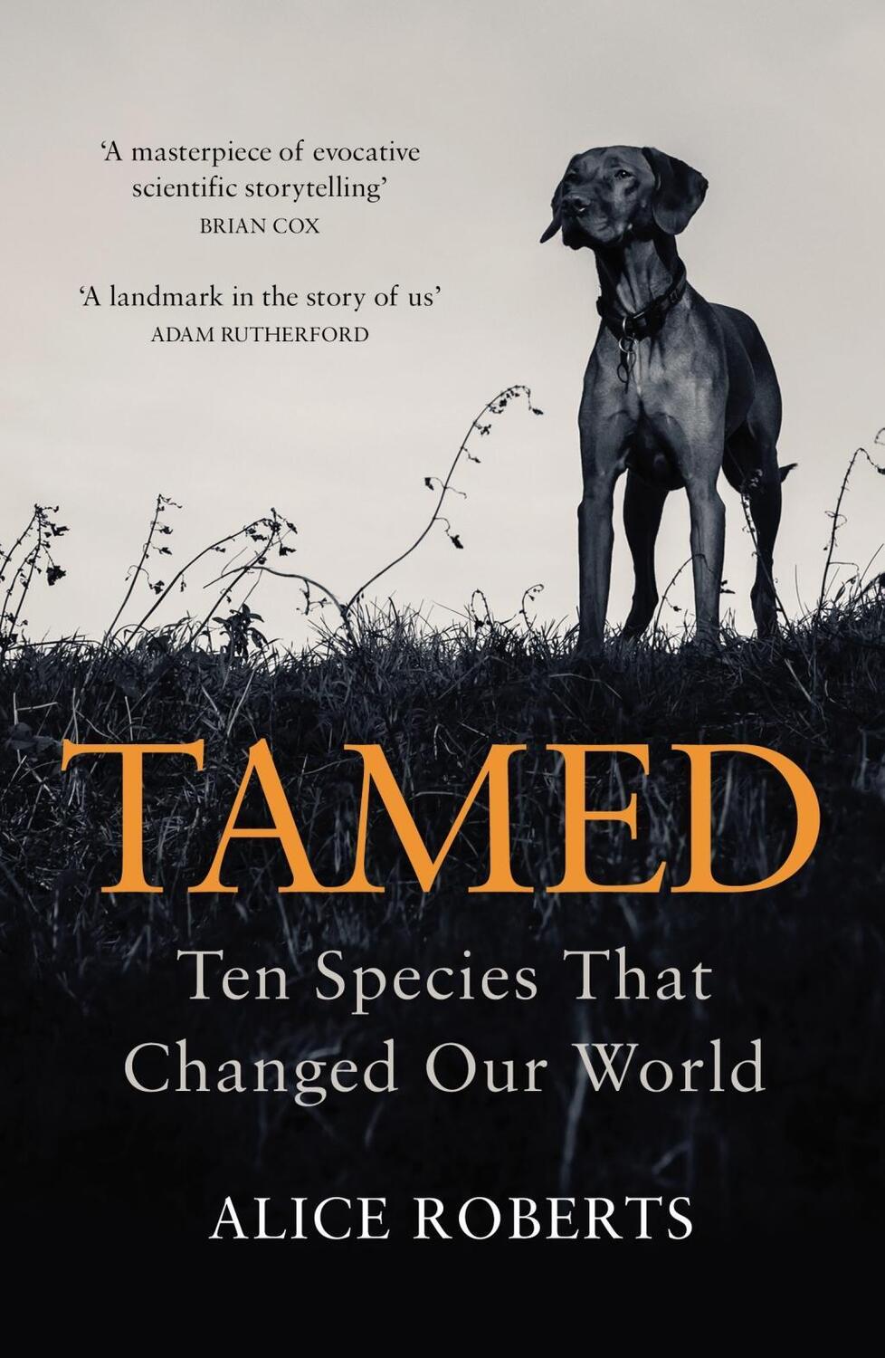 Cover: 9781786090010 | Tamed | Ten Species that Changed our World | Alice Roberts | Buch