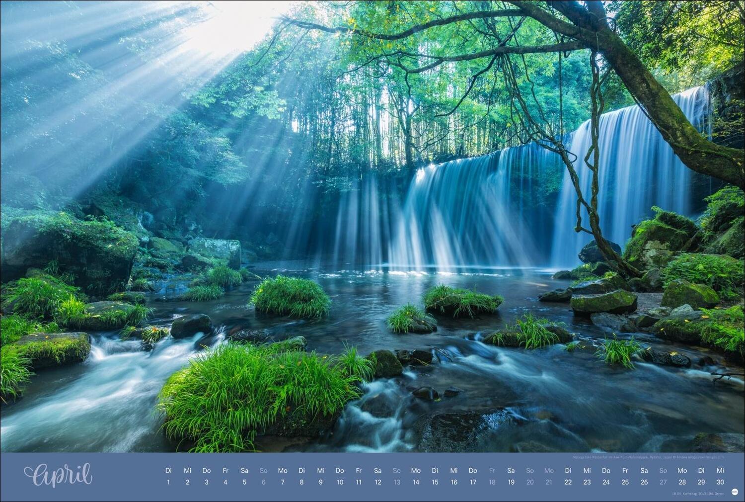 Bild: 9783756404759 | Zauberwälder Edition Kalender 2025 | Heye | Kalender | Spiralbindung