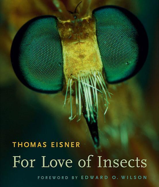 Cover: 9780674018273 | For Love of Insects | Thomas Eisner | Taschenbuch | Englisch | 2005