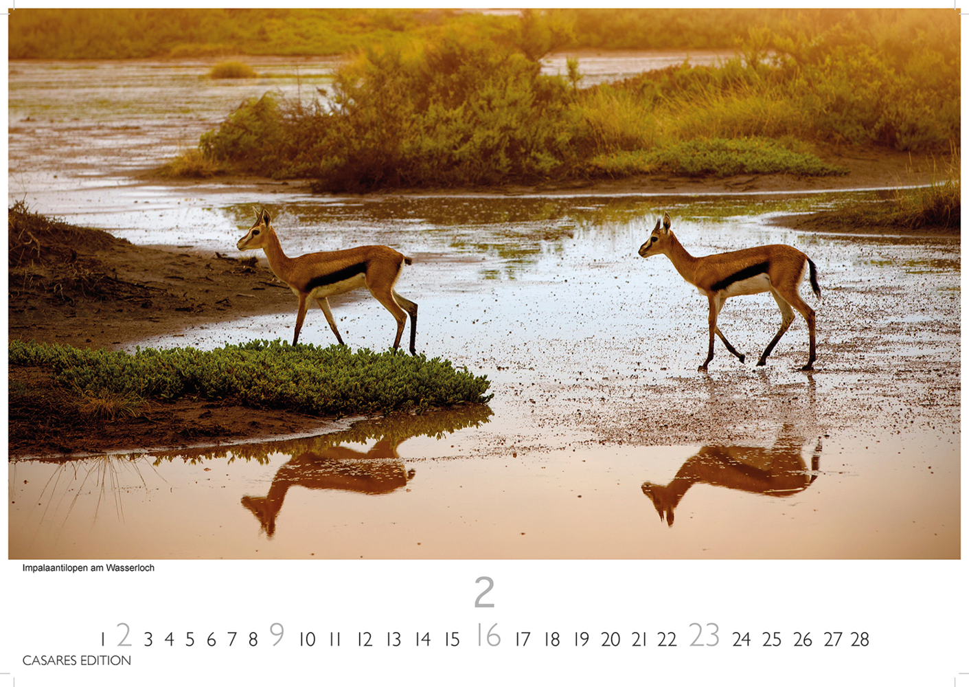 Bild: 9781835240632 | Namibia 2025 S 24x35 cm | Kalender | 14 S. | Deutsch | 2025