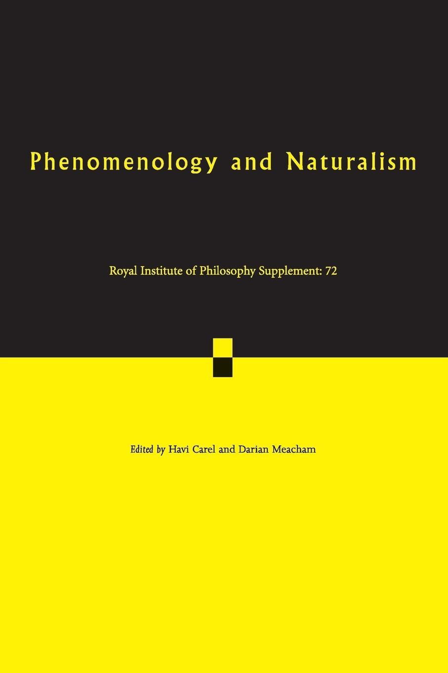 Cover: 9781107699052 | Phenomenology and Naturalism | Darian Meacham | Taschenbuch | Englisch