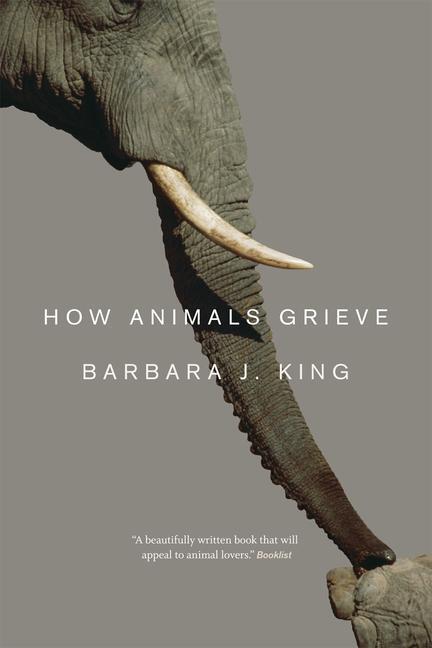 Cover: 9780226155203 | How Animals Grieve | Barbara J. King | Taschenbuch | Englisch | 2014