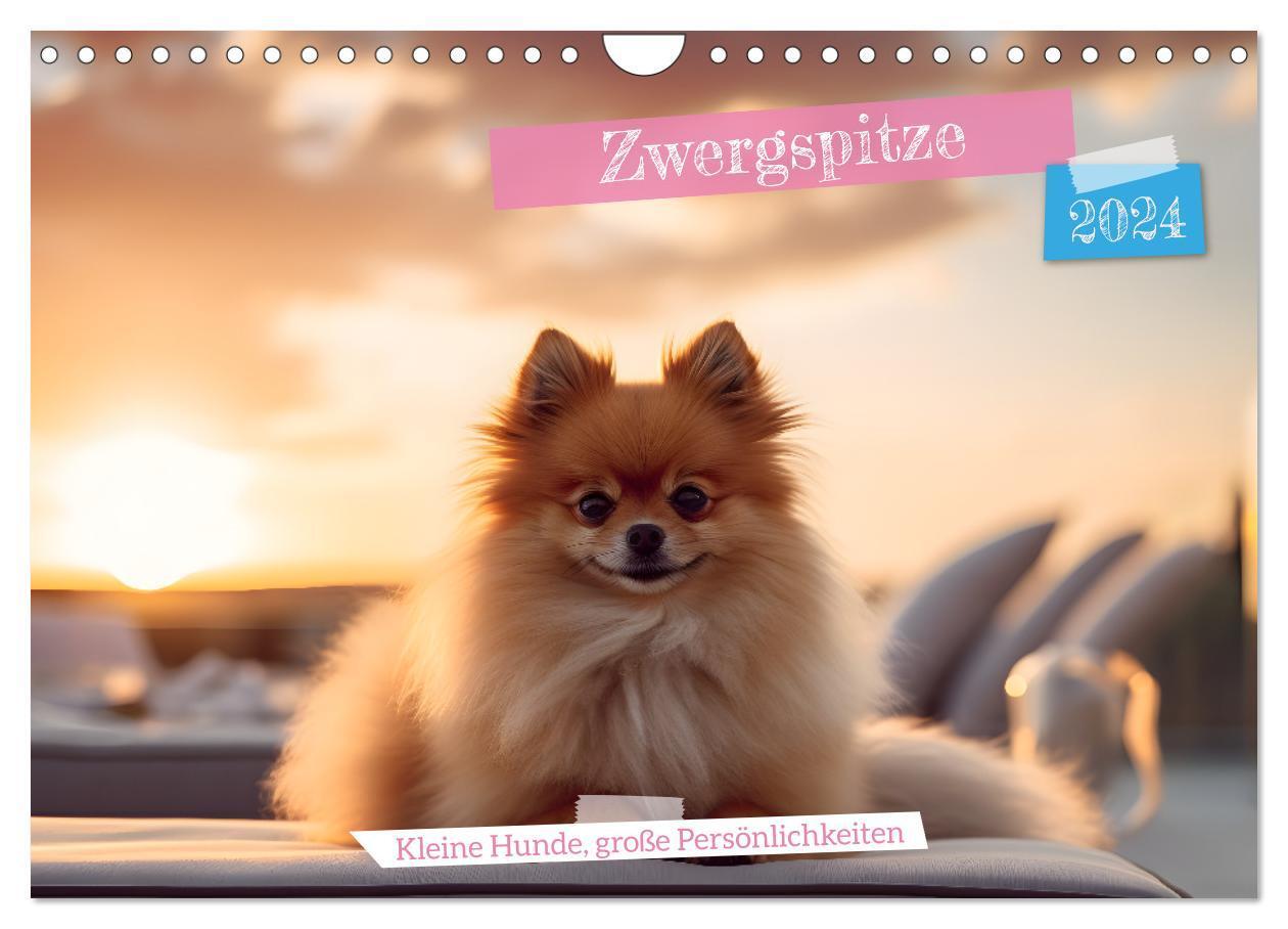 Cover: 9783383726071 | Zwergspitze - kleine Hunde, große Persönlichkeiten (Wandkalender...