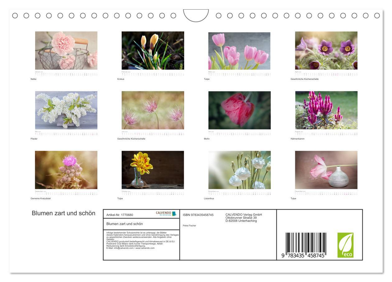 Bild: 9783435458745 | Blumen zart und schön (Wandkalender 2025 DIN A4 quer), CALVENDO...