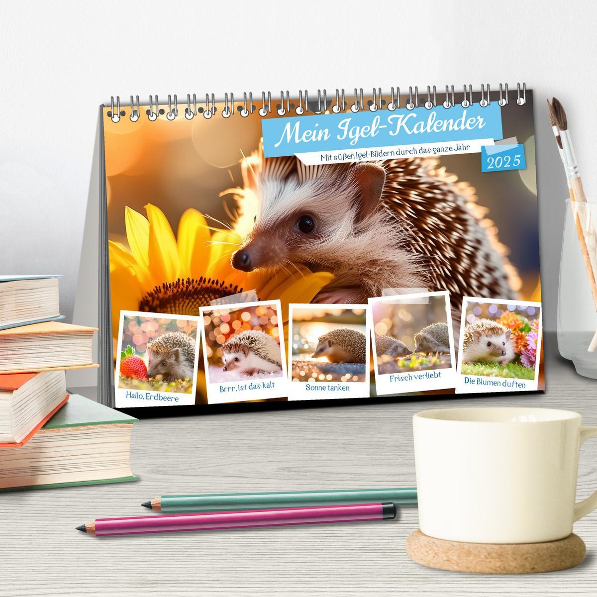 Bild: 9783435516230 | Mein Igel-Kalender (Tischkalender 2025 DIN A5 quer), CALVENDO...