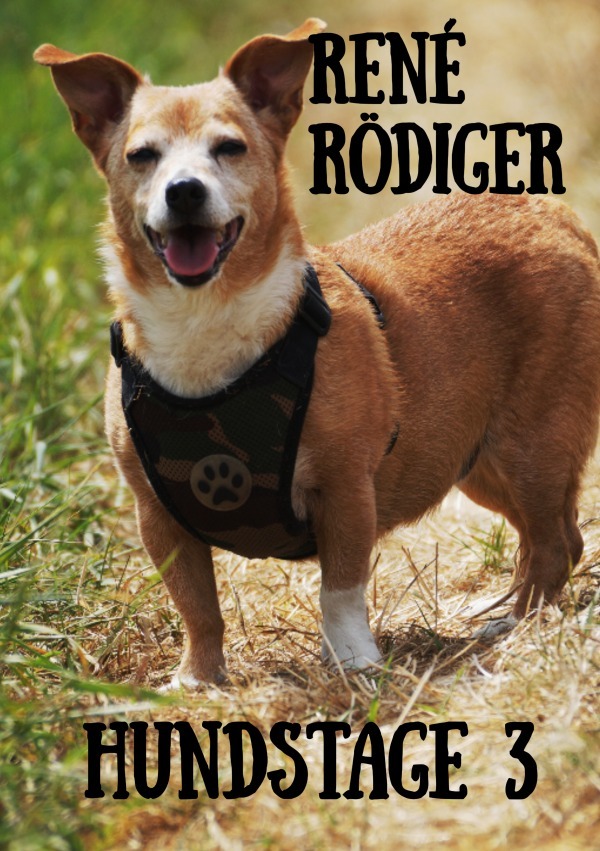 Cover: 9783818726003 | Hundstage 3 | Das Herz des Rodensteiners. DE | René Rödiger | Buch