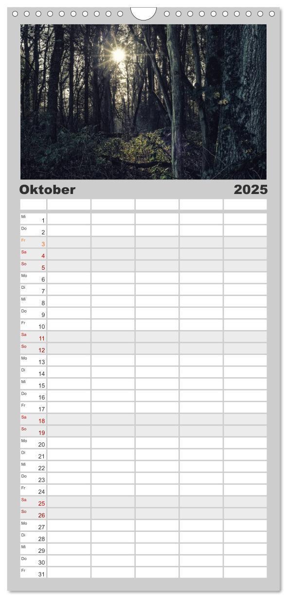 Bild: 9783457106006 | Familienplaner 2025 - Mystische Wälder mit 5 Spalten (Wandkalender,...