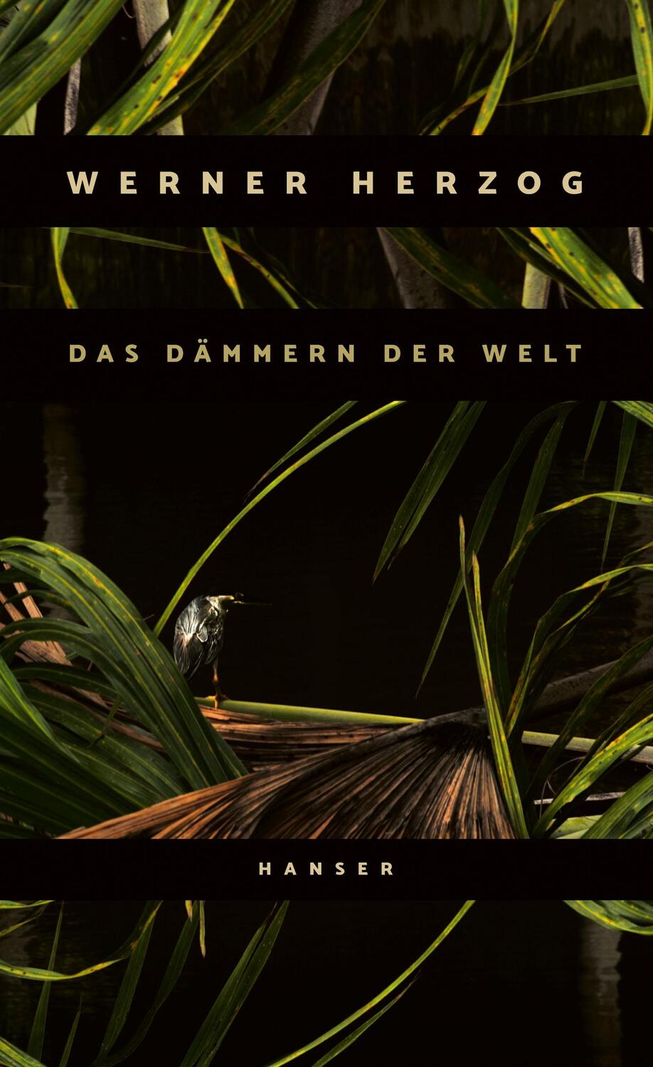 Cover: 9783446270763 | Das Dämmern der Welt | Werner Herzog | Buch | 128 S. | Deutsch | 2021