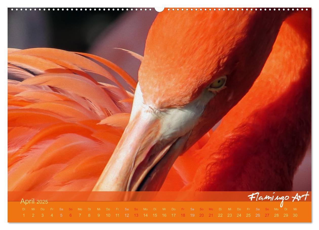 Bild: 9783435818822 | Flamingo Art 2025 (Wandkalender 2025 DIN A2 quer), CALVENDO...