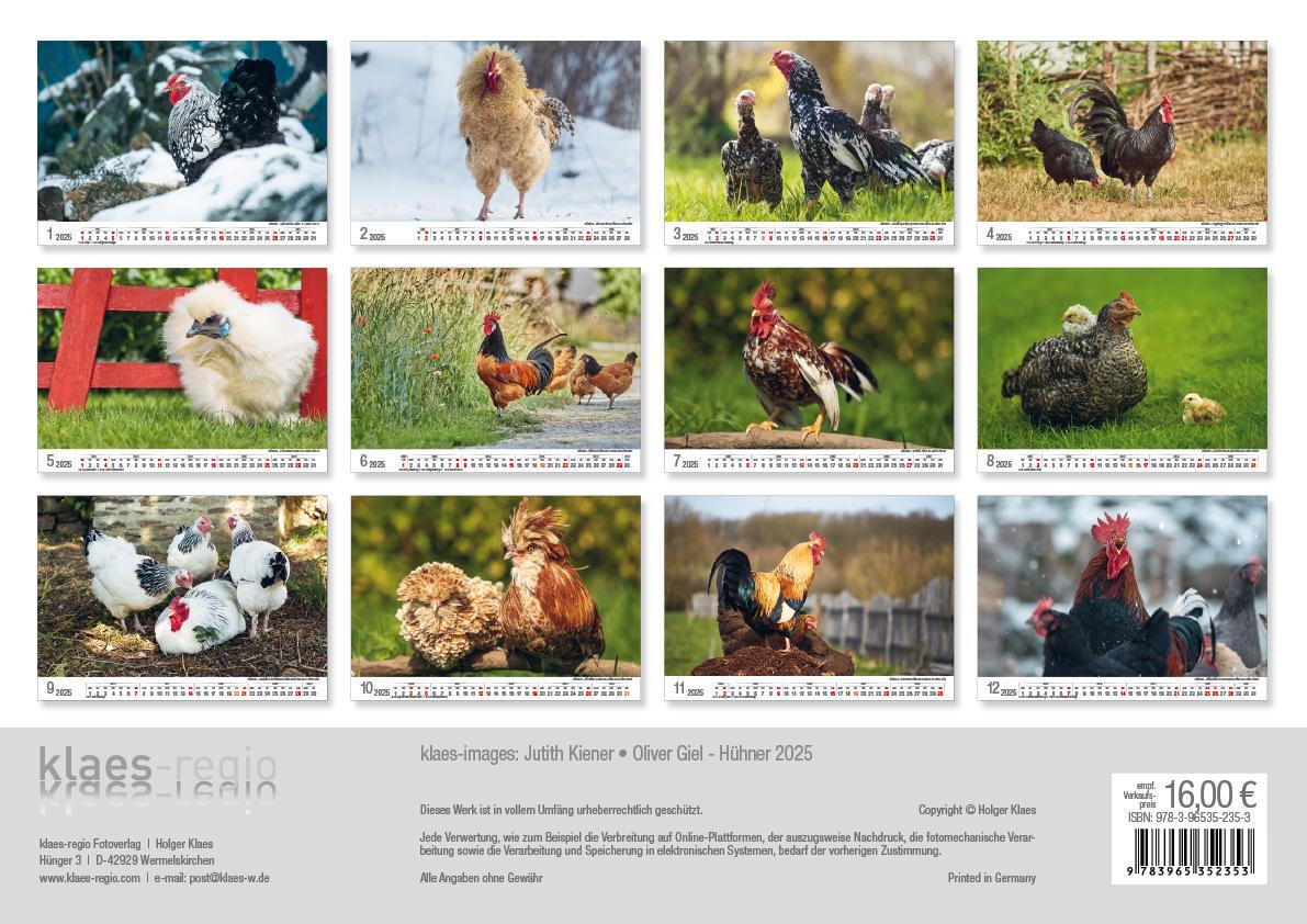 Rückseite: 9783965352353 | Hühner 2025 Bildkalender A3 quer - Judith Kiener &amp; Oliver Giel | Klaes