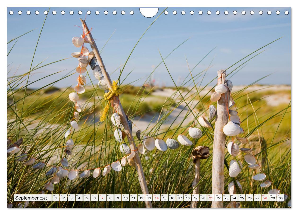 Bild: 9783435618842 | Amrum. Natur und Landschaften (Wandkalender 2025 DIN A4 quer),...