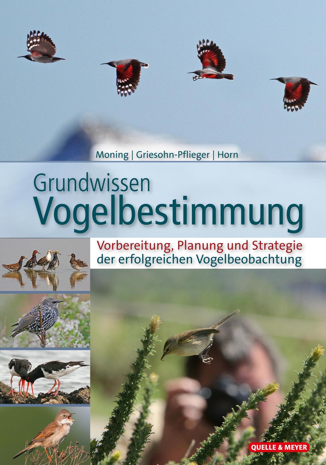 Cover: 9783494018911 | Grundwissen Vogelbestimmung | Christoph Moning (u. a.) | Buch | 2022