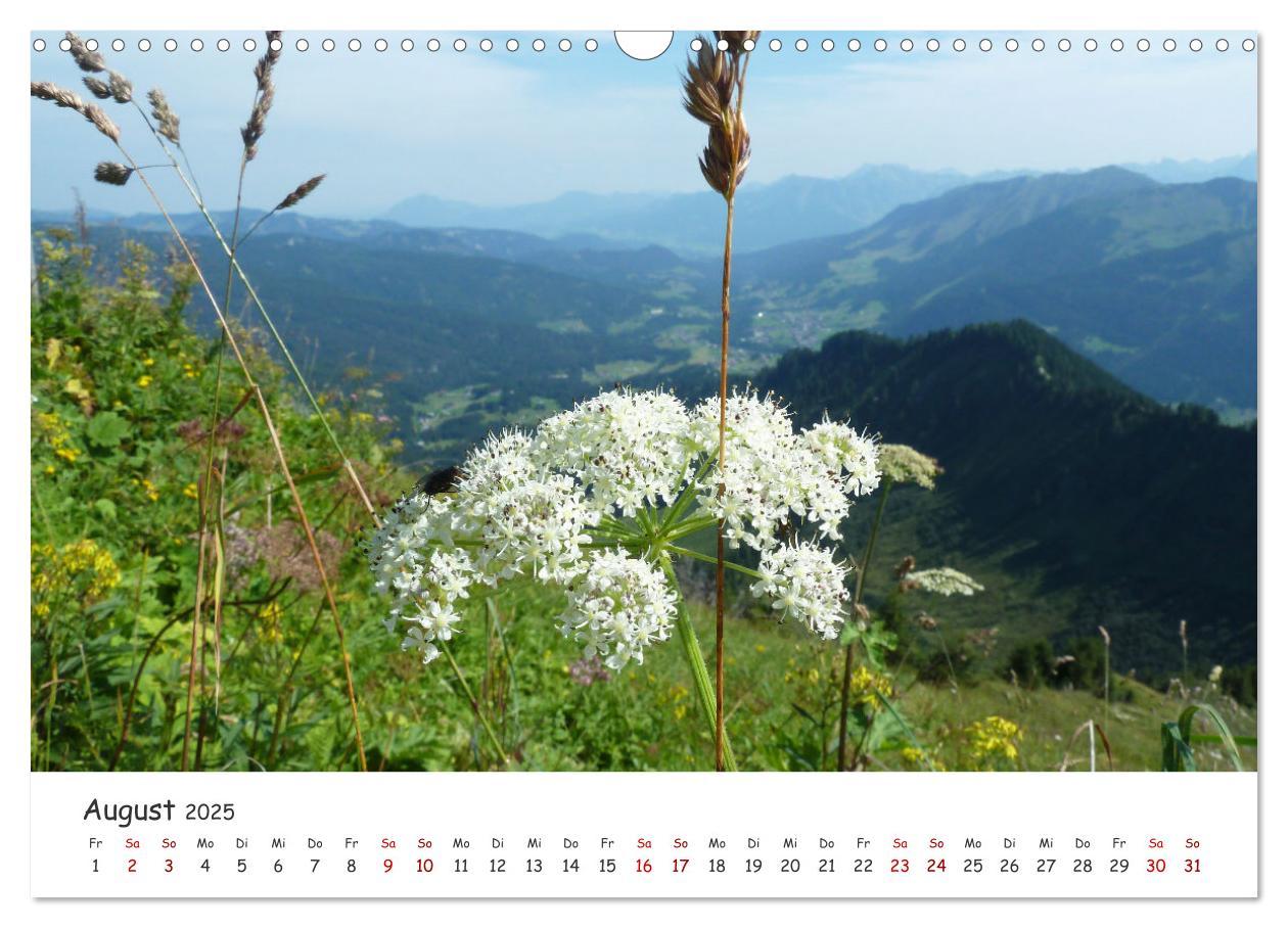 Bild: 9783383893964 | Kleinwalsertal - Das kleine Glück vor unserer Tür (Wandkalender...