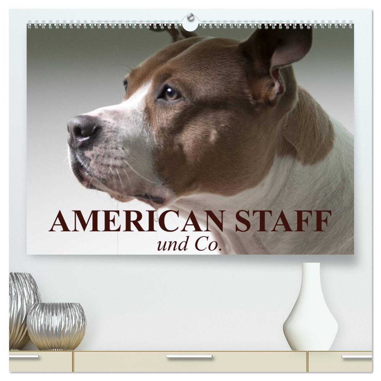 Cover: 9783435656059 | American Staff und Co. (hochwertiger Premium Wandkalender 2025 DIN...