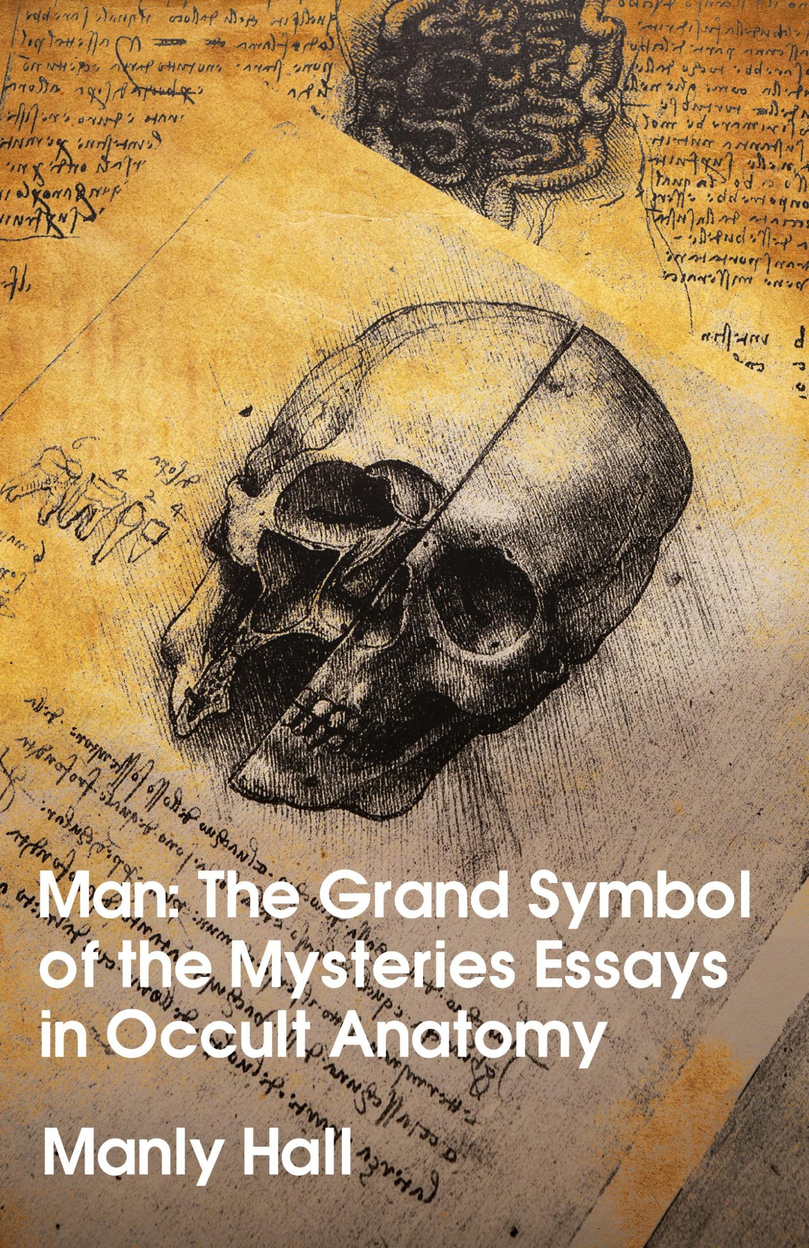 Cover: 9781639231478 | Man | The Grand Symbol of the Mysteries Essays in Occult Anatomy