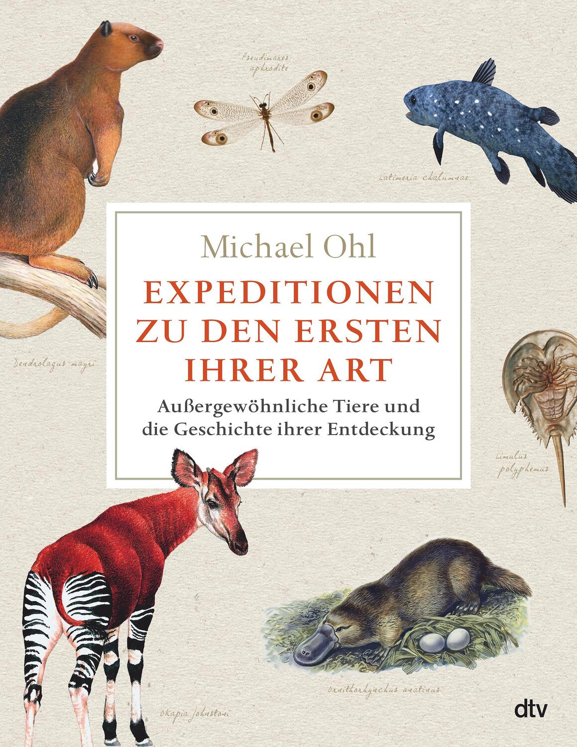 Cover: 9783423290432 | Expeditionen zu den Ersten ihrer Art | Michael Ohl | Buch | 304 S.