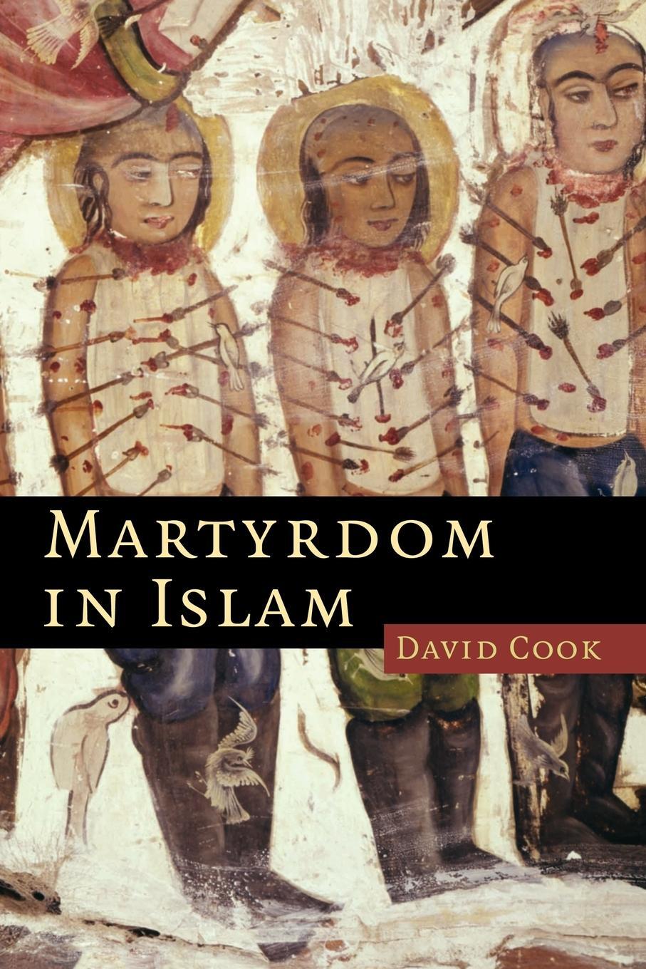 Cover: 9780521615518 | Martyrdom in Islam | David Cook | Taschenbuch | Paperback | Englisch