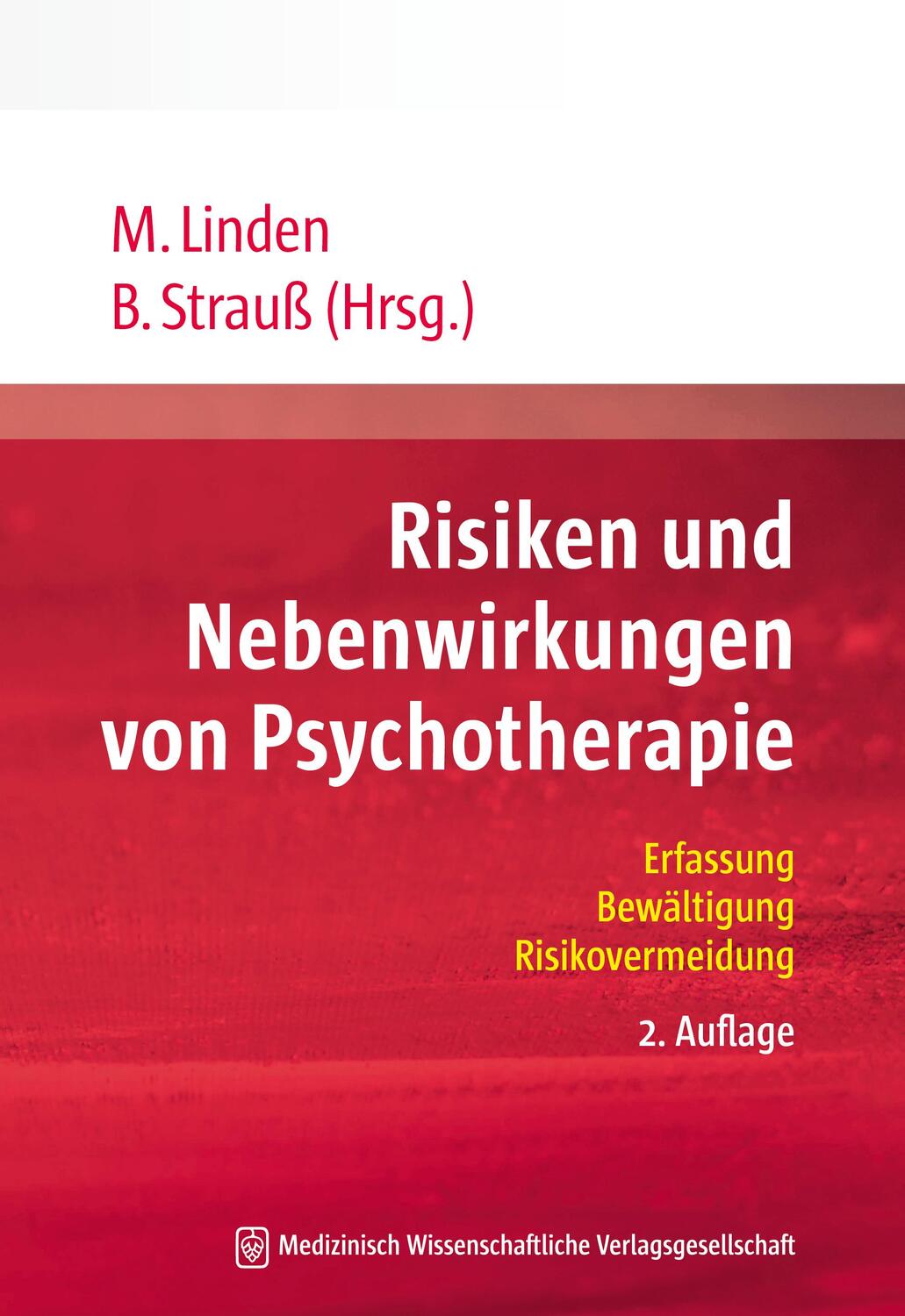 Cover: 9783954664009 | Risiken und Nebenwirkungen von Psychotherapie | Bernhard Strauß | Buch