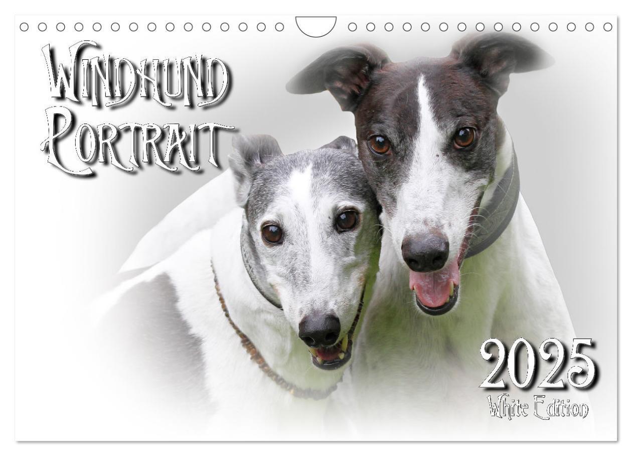 Cover: 9783383824333 | Windhund Portrait 2025 White Edition (Wandkalender 2025 DIN A4...