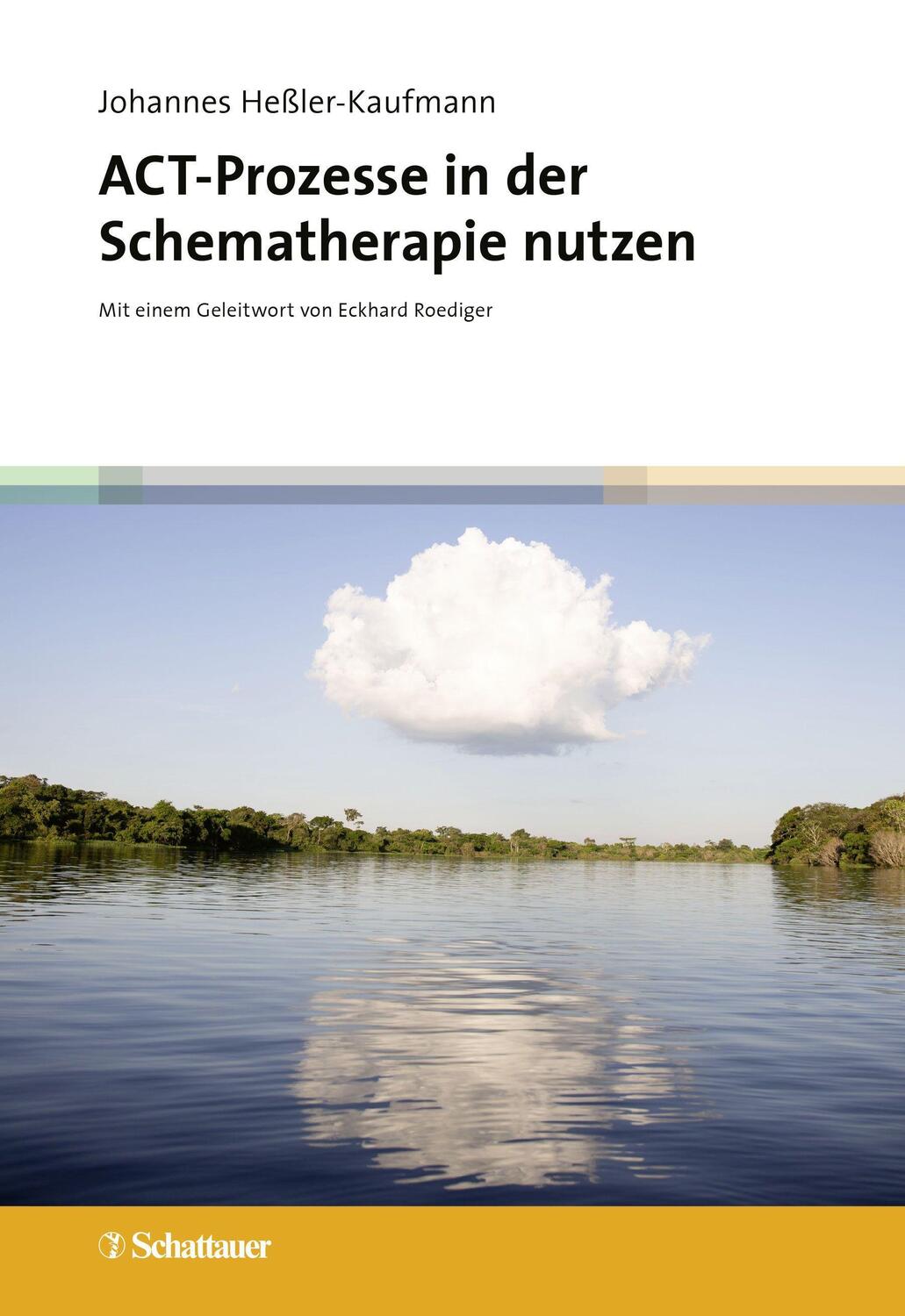 Cover: 9783608400519 | ACT-Prozesse in der Schematherapie nutzen | Johannes Heßler-Kaufmann
