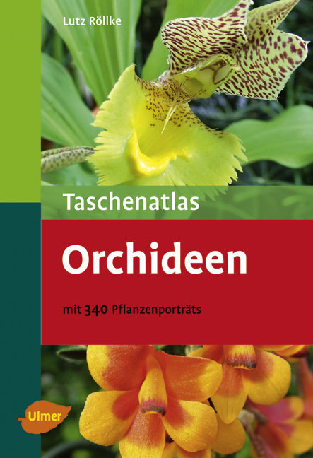 Cover: 9783800156696 | Taschenatlas Orchideen | Mit 340 Pflanzenporträts | Lutz Röllke | Buch