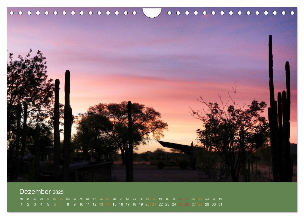 Bild: 9783383931369 | Roadtrip in Namibia (Wandkalender 2025 DIN A4 quer), CALVENDO...