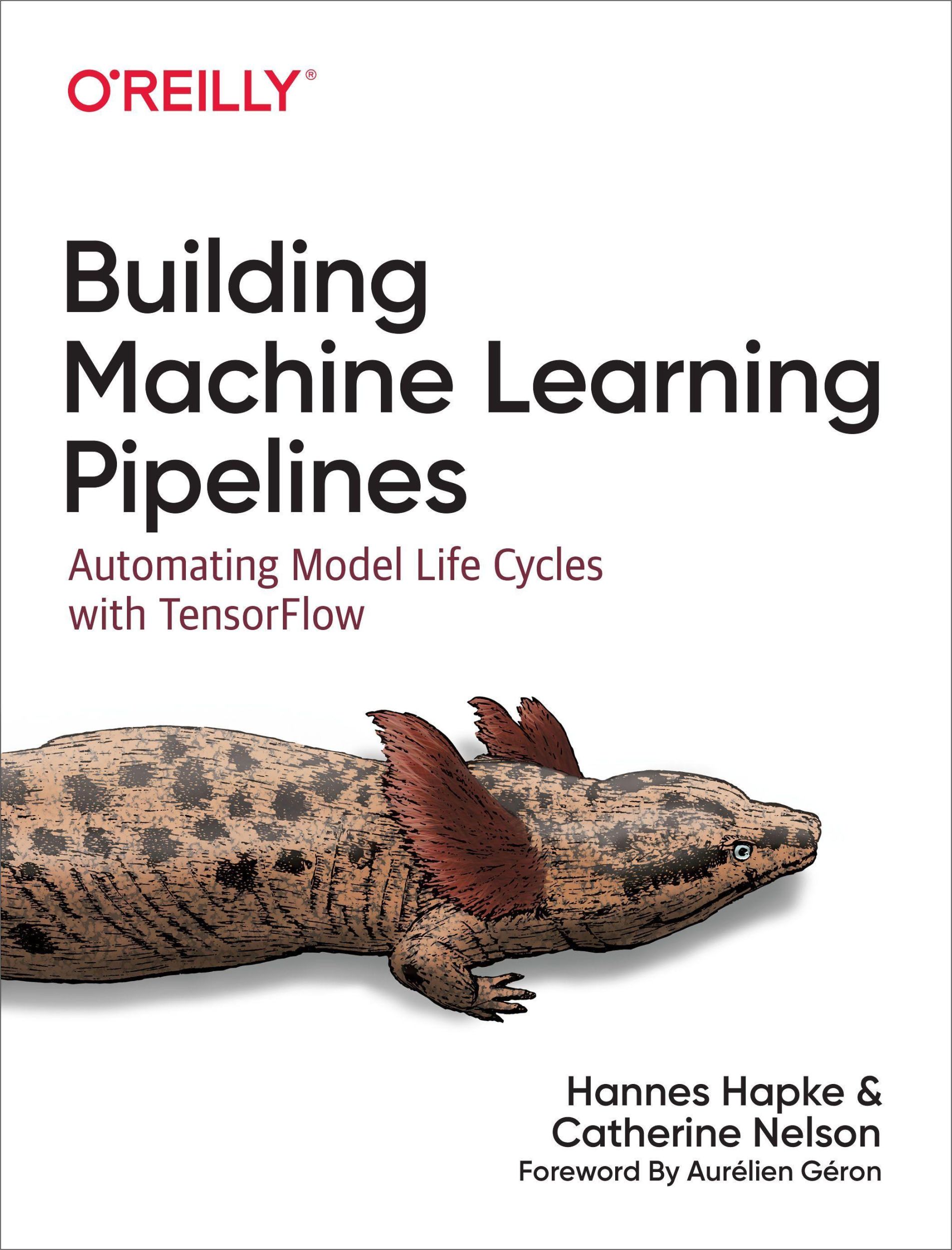 Cover: 9781492053194 | Building Machine Learning Pipelines | Hannes Hapke | Taschenbuch