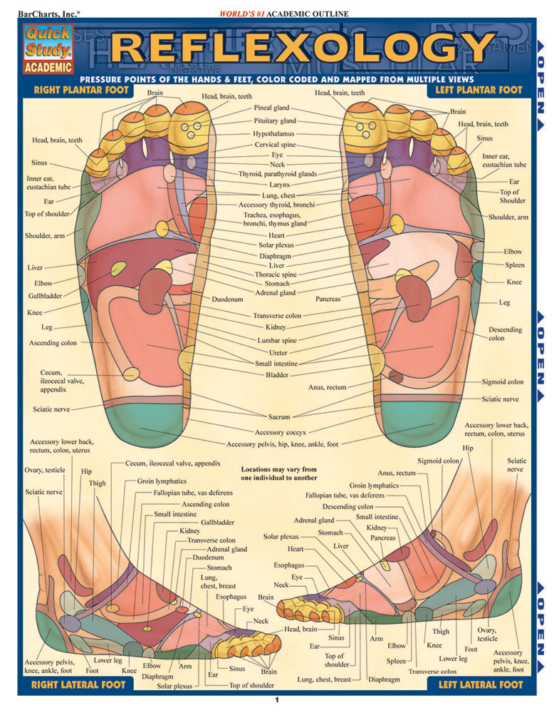 Cover: 9781423228615 | Reflexology | Vincent Perez | Broschüre | Pamphlet | Englisch | 2024