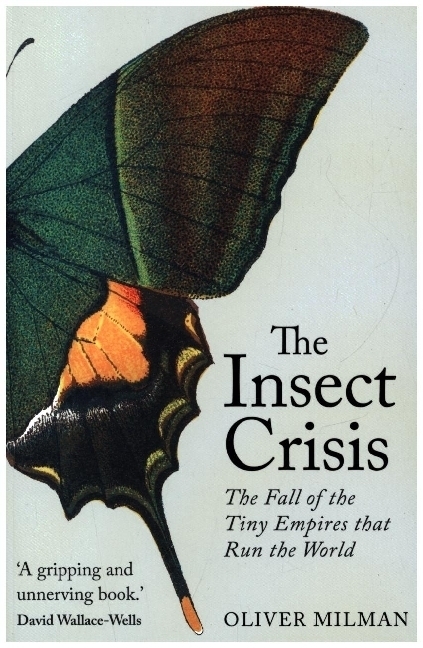 Cover: 9781838954352 | The Insect Crisis | The Fall of the Tiny Empires that Run the World