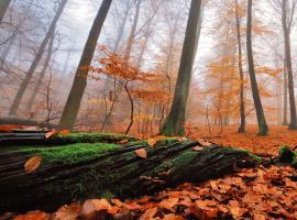 Bild: 9783941803015 | Müritz-Nationalpark | Hommage an eine Landschaft | Bartocha (u. a.)