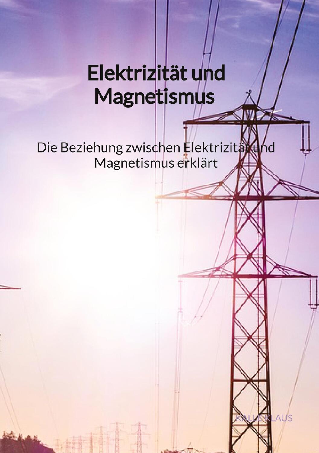 Cover: 9783347904620 | Elektrizität und Magnetismus - Die Beziehung zwischen Elektrizität...