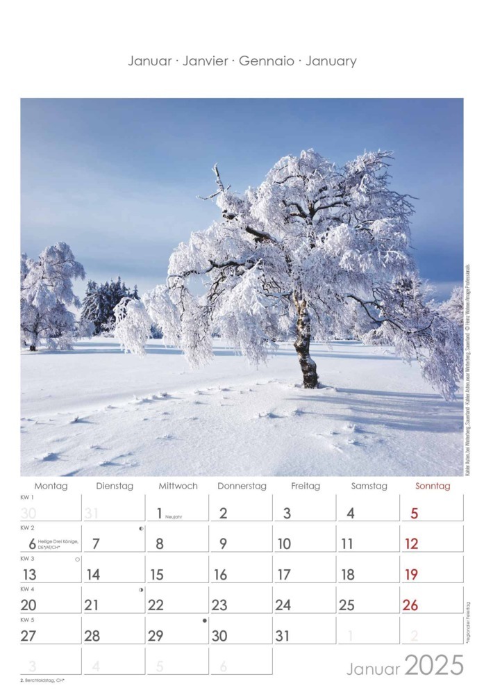 Bild: 4251732343354 | Alpha Edition - Nordrhein-Westfalen 2025 Bildkalender, 23,7x34cm,...