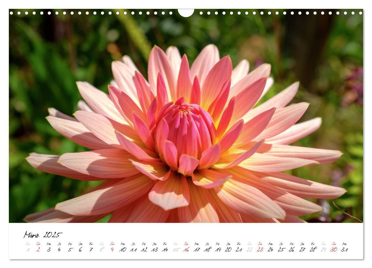 Bild: 9783435561933 | Madeira - ewiger Frühling (Wandkalender 2025 DIN A3 quer), CALVENDO...