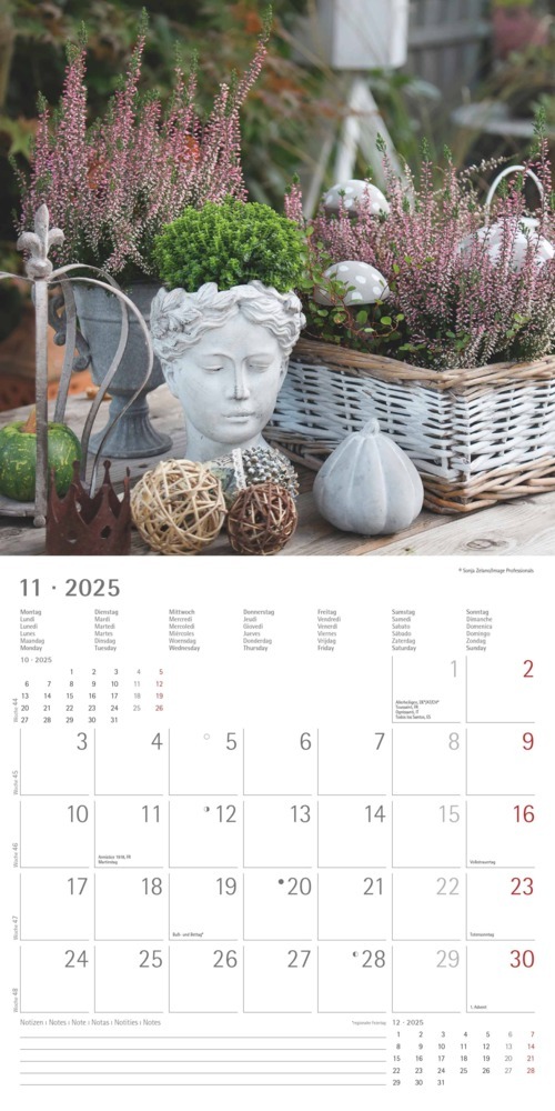 Bild: 4251732340636 | Alpha Edition - Garden &amp; Decoration 2025 Broschürenkalender,...