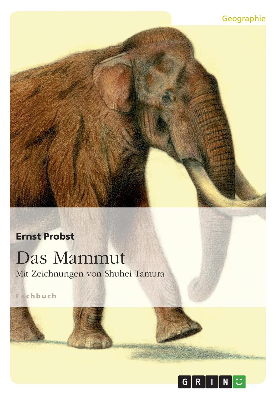 Cover: 9783656576150 | Das Mammut | Mit Zeichnungen von Shuhei Tamura | Ernst Probst | Buch