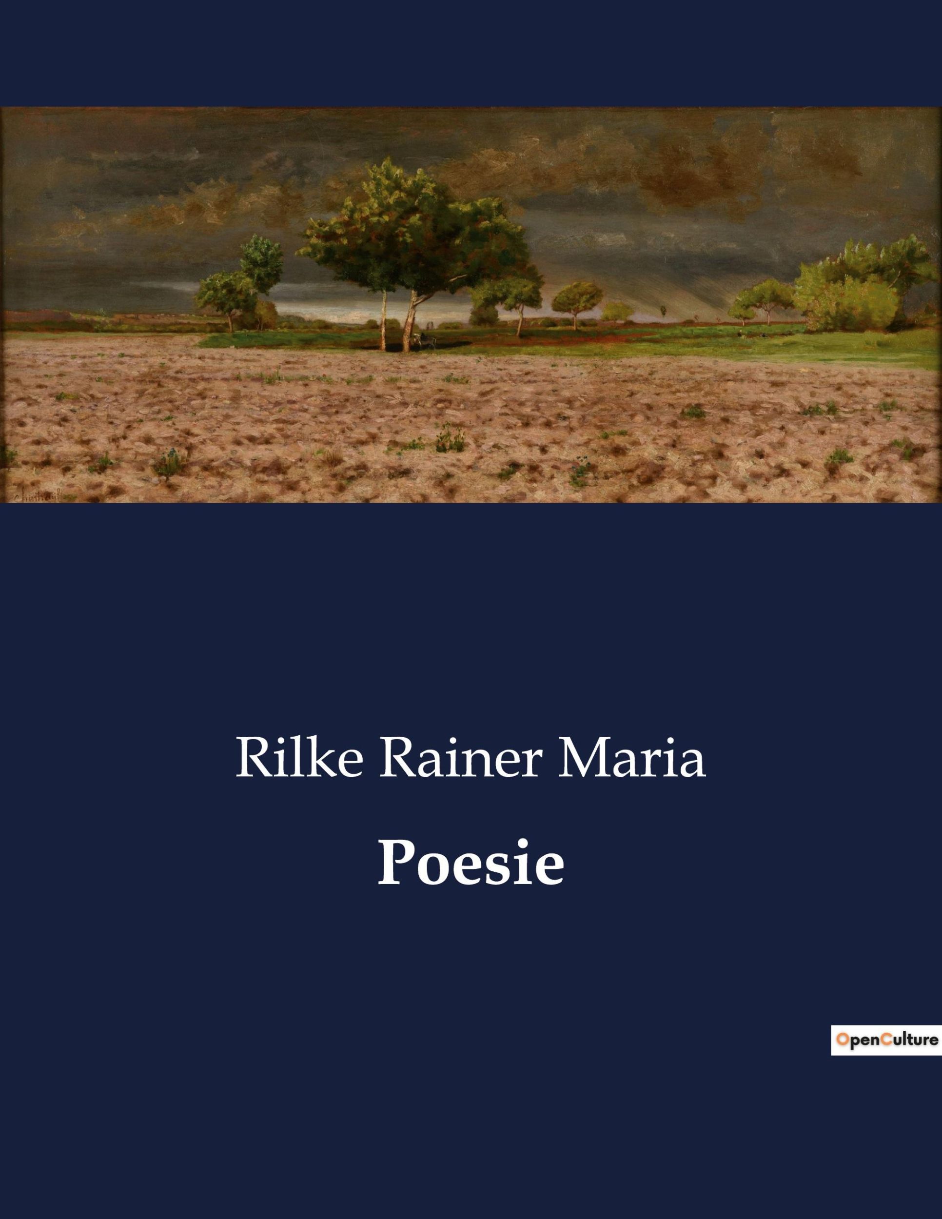 Cover: 9791041845071 | Poesie | Rilke Rainer Maria | Taschenbuch | Paperback | Italienisch