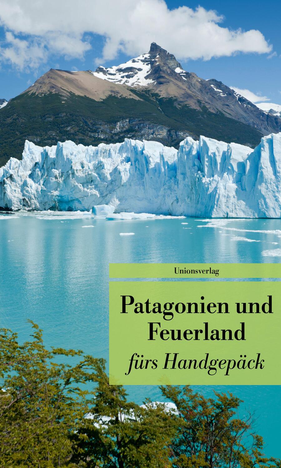 Cover: 9783293208025 | Patagonien und Feuerland fürs Handgepäck | Gabriele Eschweiler | Buch