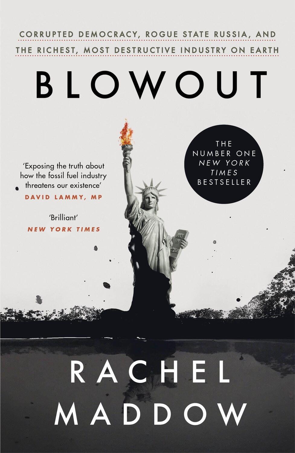 Cover: 9781529113204 | Blowout | Rachel Maddow | Taschenbuch | B-format paperback | Englisch