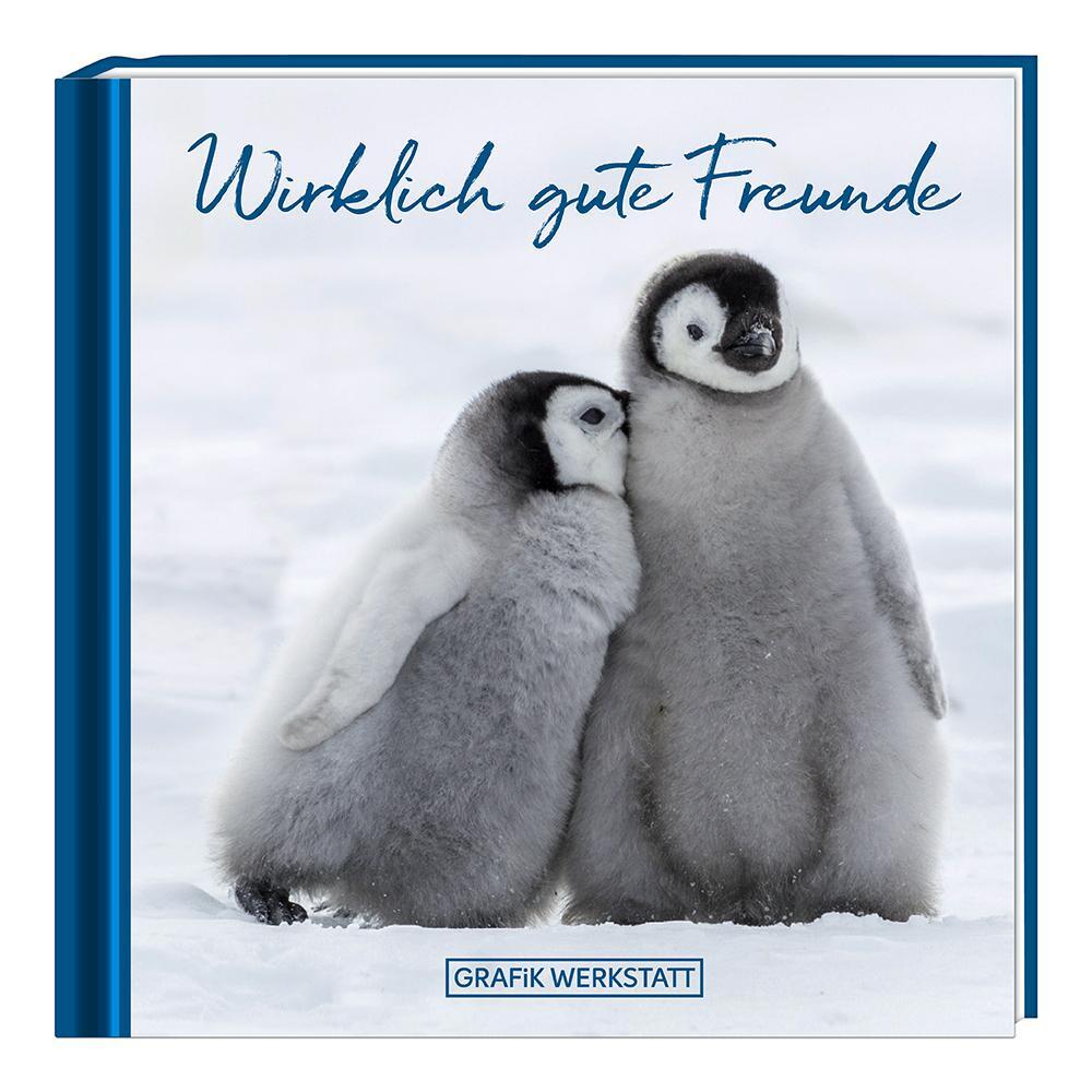 Cover: 9783862297146 | Wirklich gute Freunde | Minibuch | Werner Bethmann | Buch | 48 S.