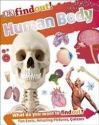 Cover: 9780241285077 | DKfindout! Human Body | Dk | Taschenbuch | 64 S. | Englisch | 2017