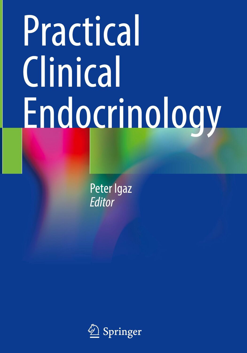 Cover: 9783030620103 | Practical Clinical Endocrinology | Peter Igaz | Buch | xxiv | Englisch