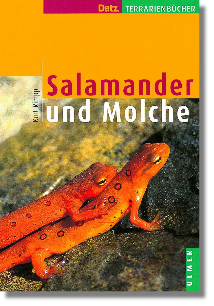 Cover: 9783800138173 | Salamander und Molche | Kurt Rimpp | Buch | DATZ-Terrarienbücher