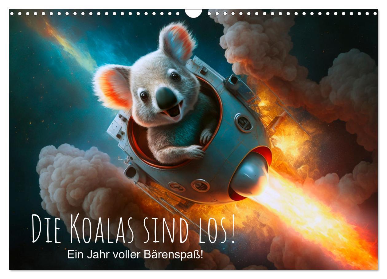 Cover: 9783675424869 | Die Koalas sind los! Ein Jahr voller Bärenspaß (Wandkalender 2024...