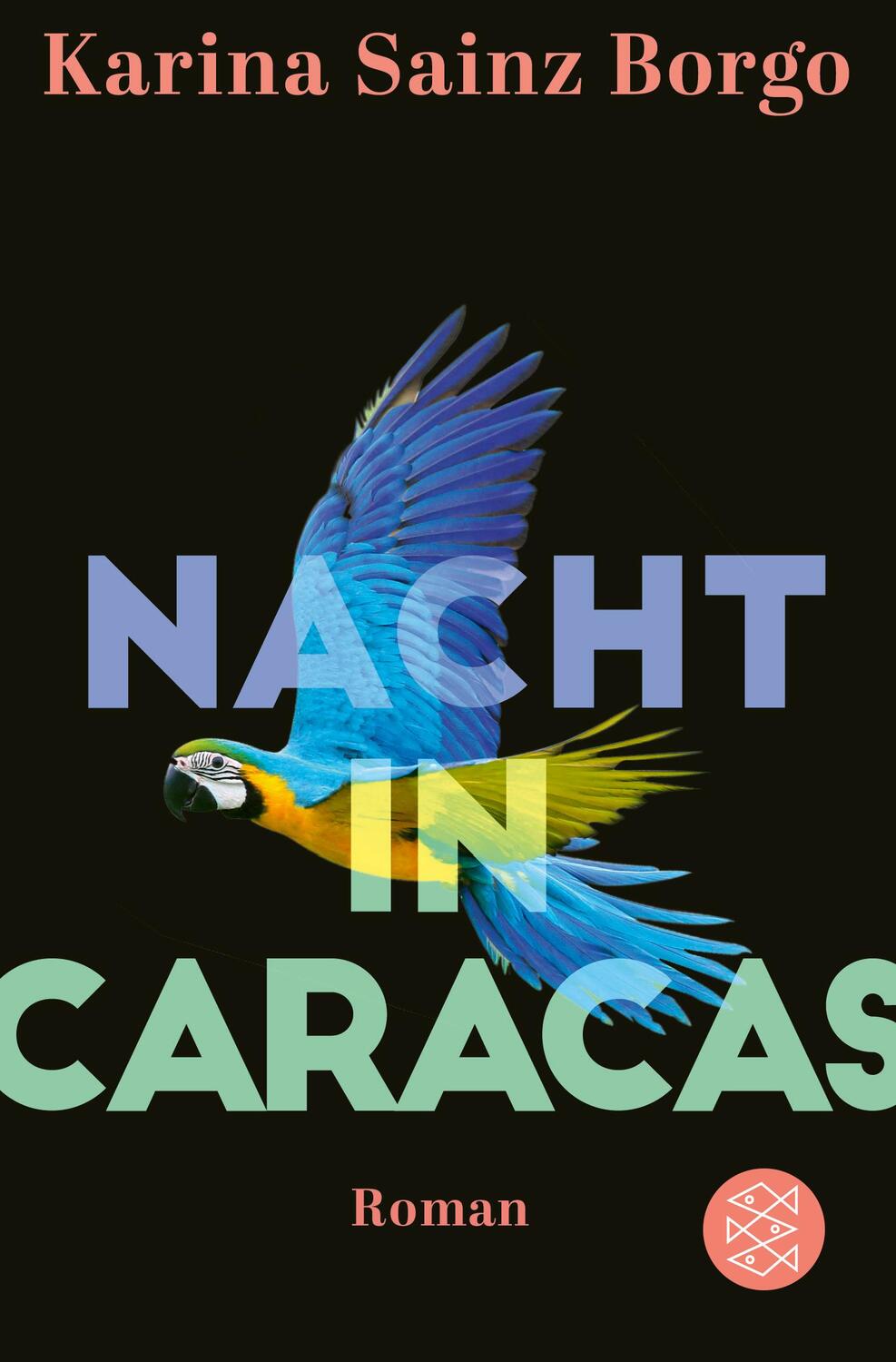 Cover: 9783596704972 | Nacht in Caracas | Roman | Karina Sainz Borgo | Taschenbuch | Deutsch