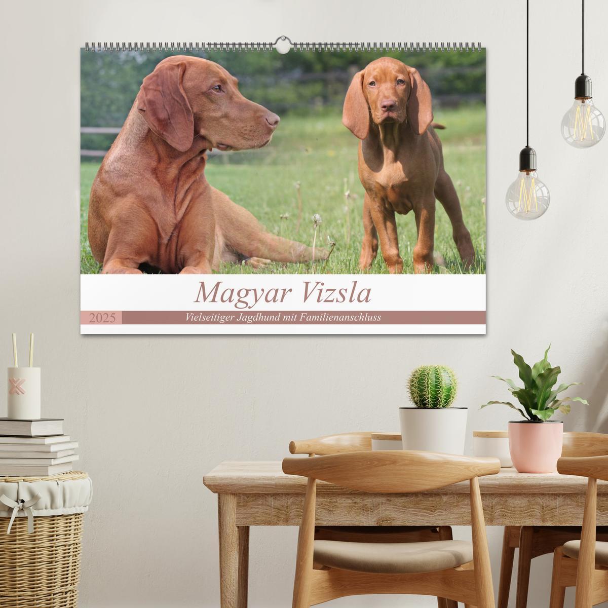 Bild: 9783435794157 | Magyar Vizsla - Vielseitiger Jagdhund mit Familienanschluss...