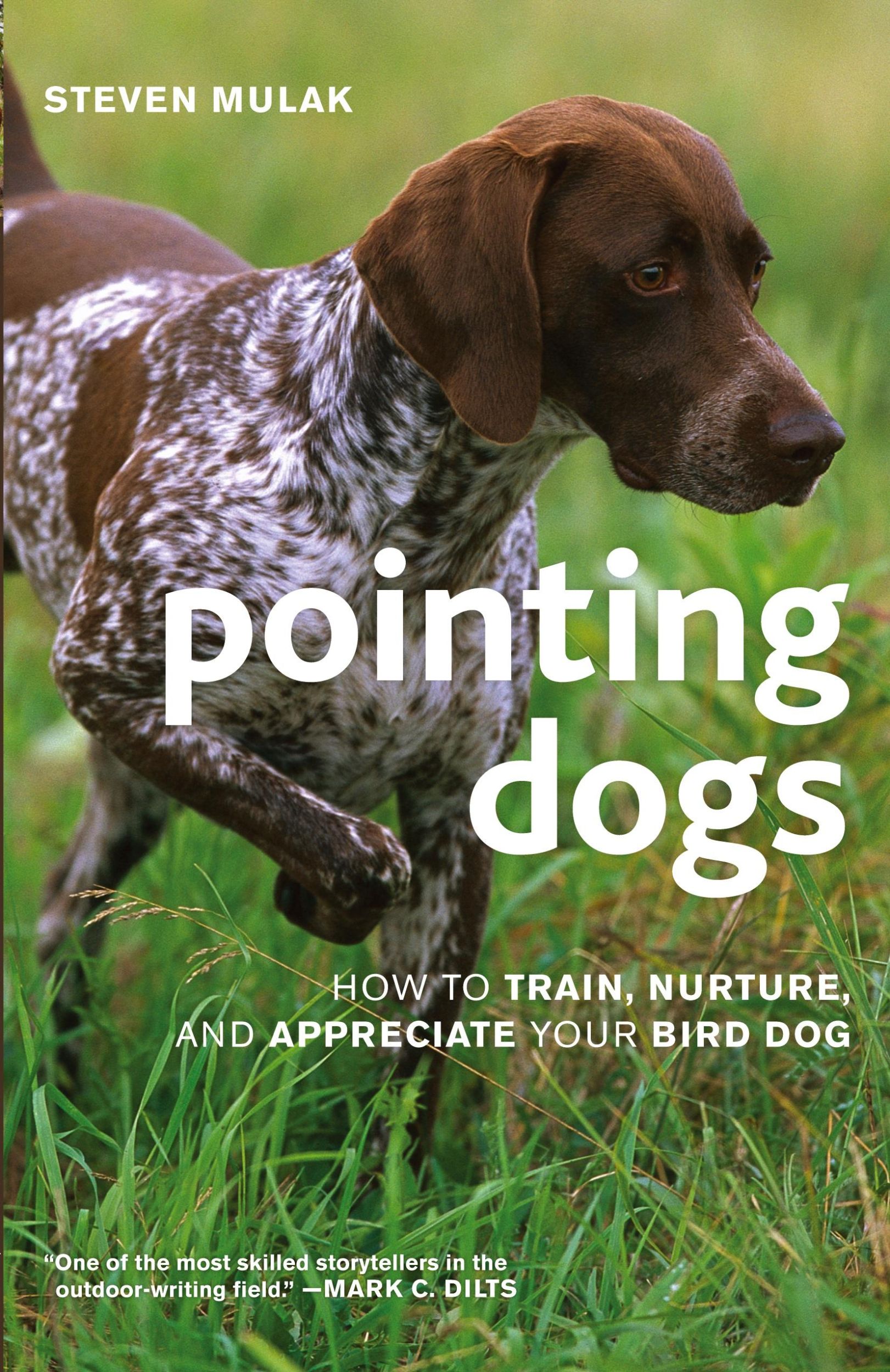 Cover: 9781586671303 | Pointing Dogs | How to Train, Nurture, and Appreciate Your Bird Dog