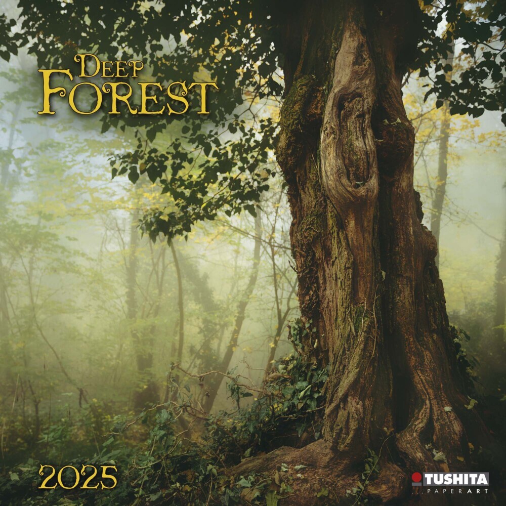 Cover: 9783959294065 | Deep Forest 2025 | Kalender 2025 | Kalender | Drahtheftung | 28 S.