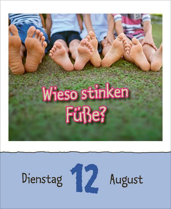 Bild: 9783731877363 | Warum wackelt Wackelpudding? 2025 | Verlag Korsch | Kalender | 328 S.