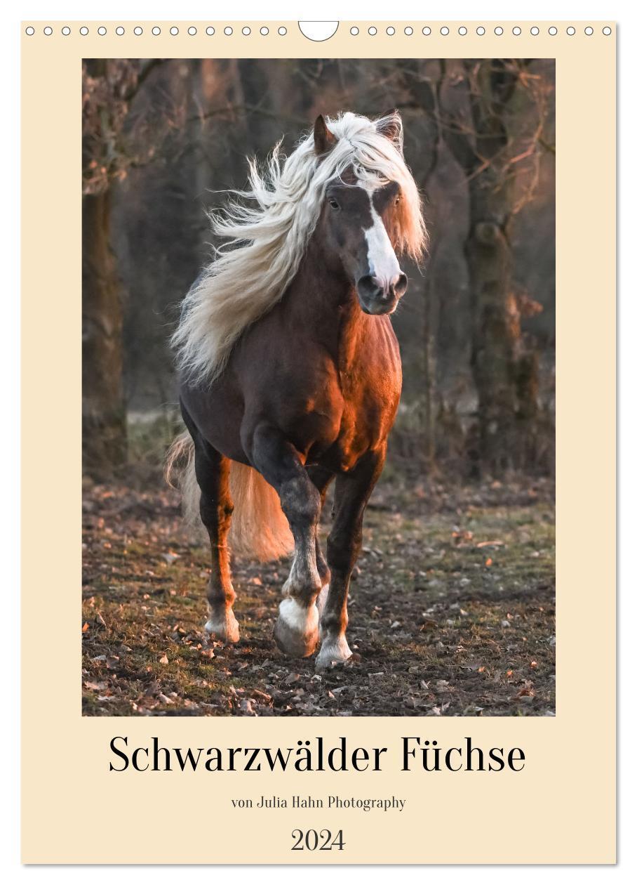 Cover: 9783383705090 | Schwarzwälder Füchse von Julia Hahn Photography (Wandkalender 2024...